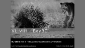 BA4PO - VL VIII-5 - BayBO-T5