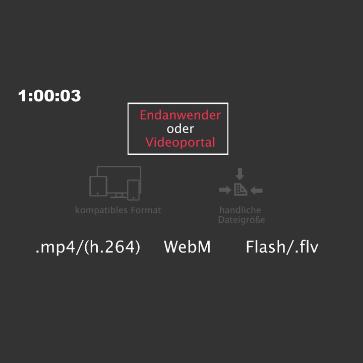 Videoformate und Codecs: Die richtigen Einstellungen für Kamera ...