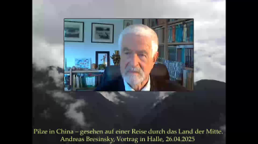 thumbnail of medium Vortrag Prof. em. Dr. Andreas Bresinsky