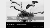 BA4PO - VL VIII-4 - BayBO-T3